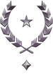 Multiplayer career rank insignia for Halo Infinite.