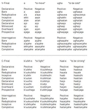 Verb paradigm in the Sangheili Conlang.