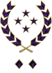 Multiplayer career rank insignia for Halo Infinite.
