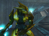 Close-up of a Zealot's gold combat harness.