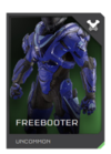 REQ Card - Armor Freebooter.png