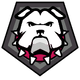 Medal icon for Halo 5: Guardians.