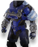 REQ icon for the Indomitable armor.