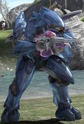 N'tho 'Sraom - Character - Halopedia, The Halo Wiki