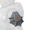 Icon for the Deimos Pauldrons (left).