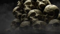 Artwork promoting skulls in Campaign Evolved.