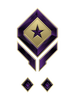 Multiplayer career rank insignia for Halo Infinite.