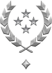 Multiplayer career rank insignia for Halo Infinite.