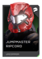 H5G REQ Helmets Jumpmaster Ripcord Uncommon.png
