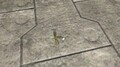 Thumbnail for version as of 13:55, June 11, 2026