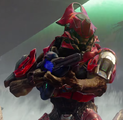 A Special Operations Sangheili, as they appear in Warzone. The same model and colour is used for almost all Sangheili bosses.