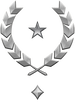 Multiplayer career rank insignia for Halo Infinite.