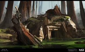 Forest - Multiplayer map - Halo Infinite - Halopedia, the Halo wiki