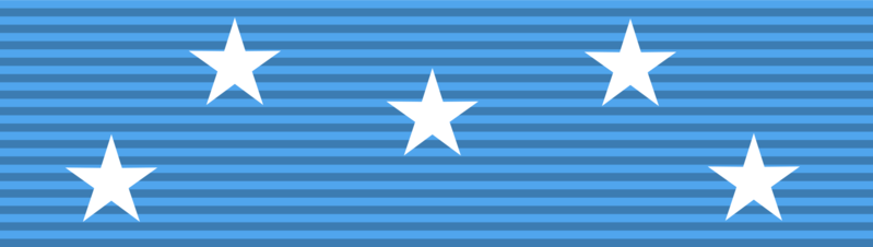 File:Medal of Honor ribbon.png