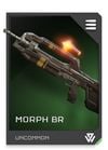 REQ Loadout Weapon BR Morph.jpg