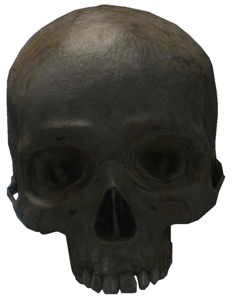File:Skull.png