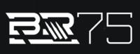 HINF - BR75 Battle Rifle Product Logo.png
