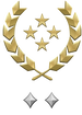 Multiplayer career rank insignia for Halo Infinite.