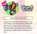 Grunt bomber description