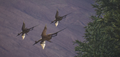 Thumbnail for version as of 01:38, August 13, 2026