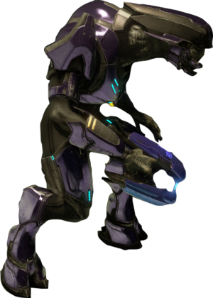Special Operations Sangheili.png