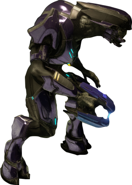 File:Special Operations Sangheili.png