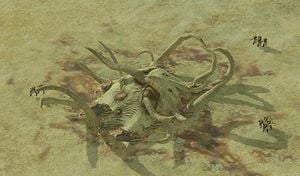 A screenshot of a Flood colony.