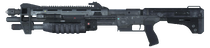 Shotgun