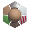Icon for the Sugar and Spice coating.
