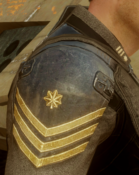 Commander rank from Halo 4