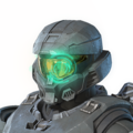 HINF Packmaster's Glare Armor FX Icon.png