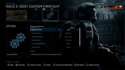 Firefight customization