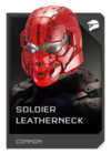 REQ Card - Soldier Leatherneck.png