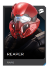 H5G REQ Helmets Reaper Rare