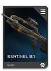 REQ Loadout Weapon BR Sentinel.jpg