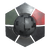 Icon for the Spirit of Victory weapon coating.