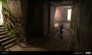 Forest - Multiplayer map - Halo Infinite - Halopedia, the Halo wiki