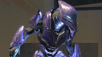 A Banished Special Operations Sangheili up close.