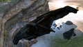 Thumbnail for version as of 19:07, September 7, 2026