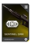 REQ Card - DMR Sentinel Stabilizer.jpg