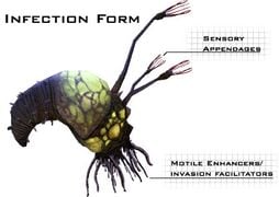 Pod infector - Species - Halopedia, the Halo wiki