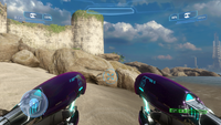 First-person view while dual-wielding in multiplayer.