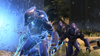 A group of Banished Special Operations Sangheili.