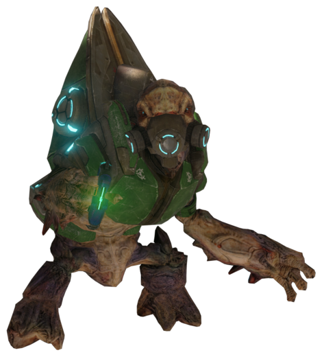 Unggoy Heavy Halopedia The Halo Wiki