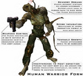A Human Combat Form from Halo:Combat Evolved.