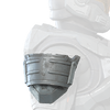 Icon for the right SAP/SHO shoulder.