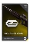 REQ Card - DMR Sentinel Bayonet.jpg