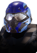 REQ icon for the Valkyrie armor.