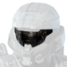 Icon for the Y2 SSG visor.