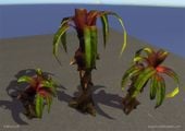 A "thorny palm" plant